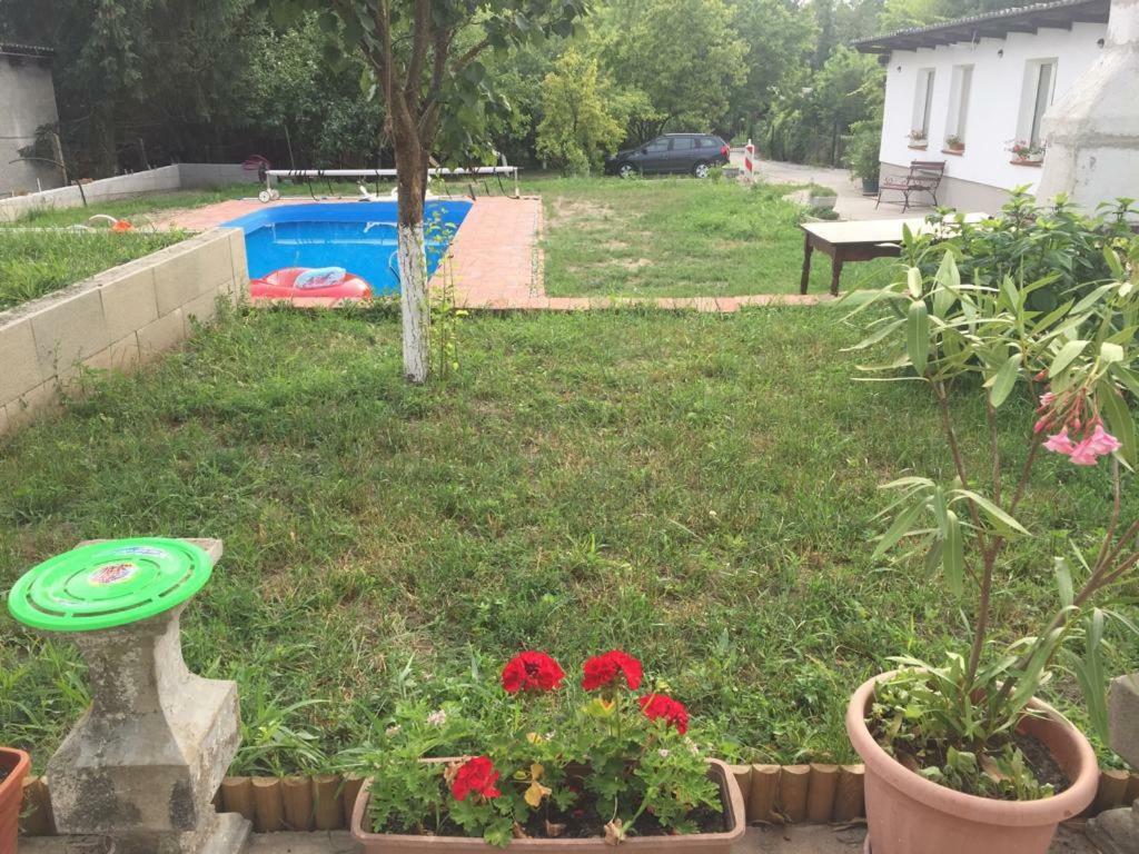 Piknik Apartmant Fertorakos Exterior photo